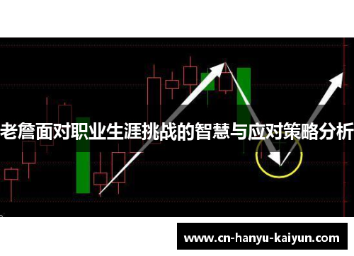 老詹面对职业生涯挑战的智慧与应对策略分析